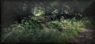tt p071022