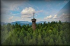 tt c061022